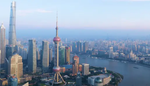 上海村口大树与长乐路创意咖啡的奇妙碰撞，一口喝下整条街的文艺魂☕